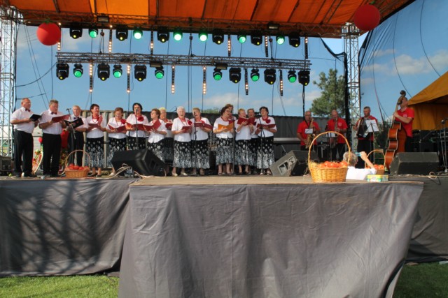 2014.08.10._festyn_pomidorowy_177_[640x480].jpg